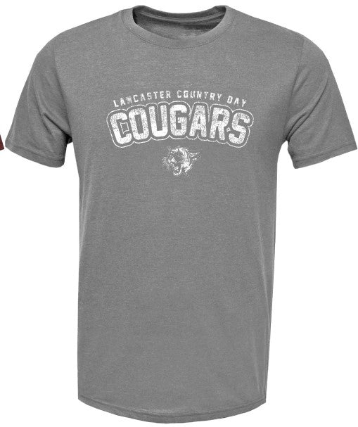 Grey ADULT tshirt
